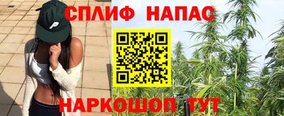 скорость Бердск